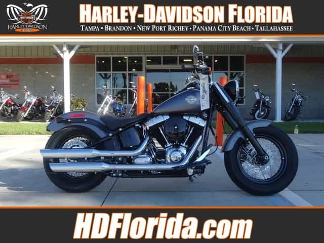 2015 Harley-Davidson FLS SOFTAIL SLIM Cruiser New Port Richey FL