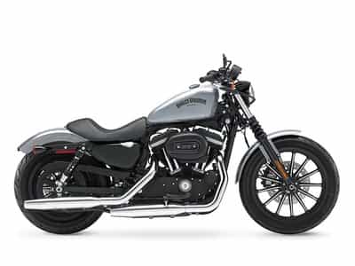 2015 Harley-Davidson XL883N - Sportster Iron 883 Cruiser Jacksonville FL