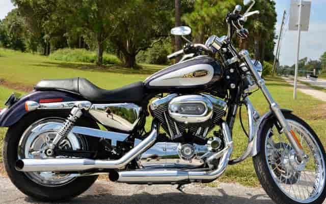 2009 Harley-Davidson XL1200C - Sportster 1200 Custom Standard St. Augustine FL