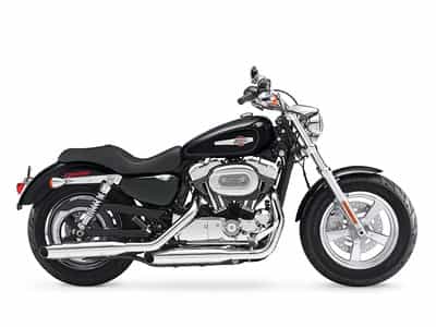 2015 Harley-Davidson XL1200C - Sportster 1200 Custom Cruiser Jacksonville FL