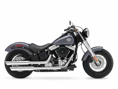 2014 Harley-Davidson FLS - Softail Slim Cruiser Bedford Heights OH