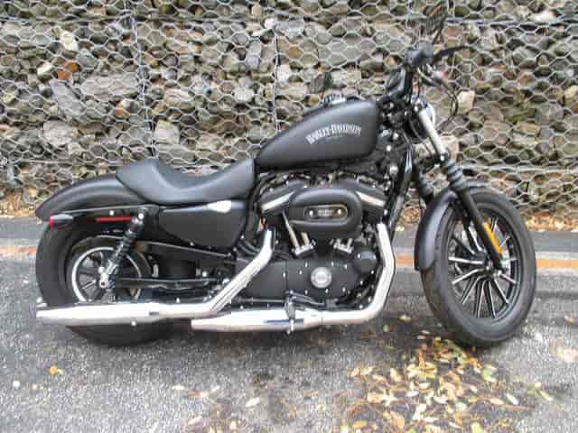 2014 Harley-Davidson XL883N - Sportster Iron 883 Standard Media PA