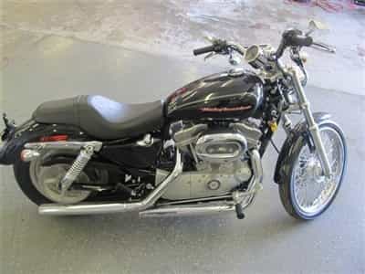 2006 Harley-Davidson XL883C Cheap Used Motorcycle ON SALE on SaferWholesale Custom Joliet IL