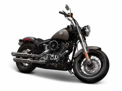 2014 Harley-Davidson FLS - Softail Slim Cruiser Butte MT