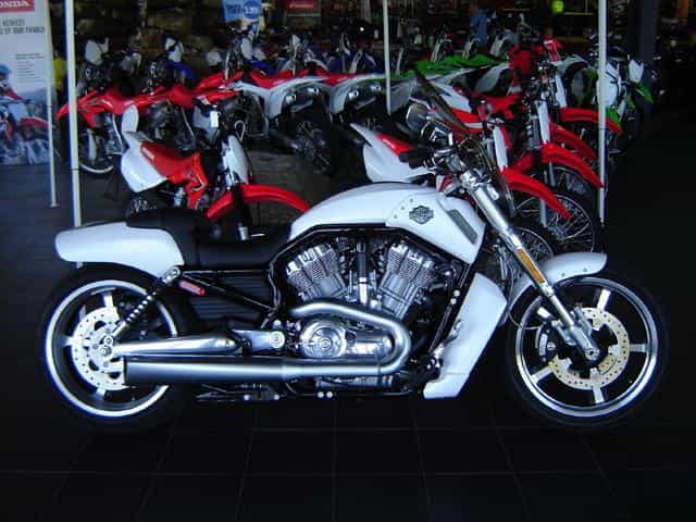 2014 Harley-Davidson V-ROD MUSCLE Cruiser Medina OH