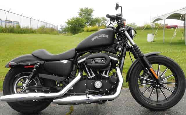 2014 Harley-Davidson XL883N - Sportster Iron 883 Standard Woodstock IL