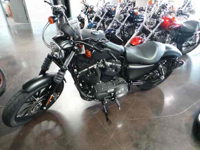 2015 Harley-Davidson XL883N - Sportster Iron 883 Standard East Hartford CT