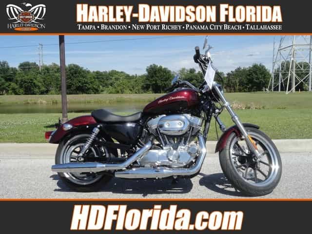 2014 Harley-Davidson XL883L SPORTSTER SUPERLOW XL883L Cruiser Tampa FL
