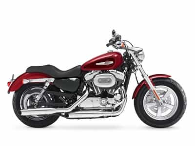 2015 Harley-Davidson XL1200C - Sportster 1200 Custom Cruiser Jacksonville FL