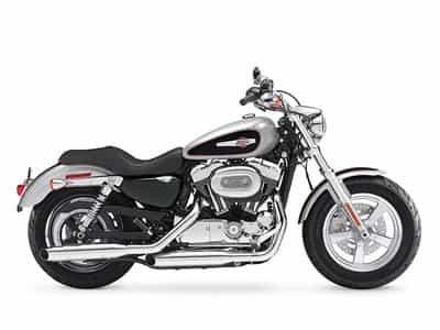 2015 Harley-Davidson XL1200C - Sportster 1200 Custom Cruiser Jacksonville FL