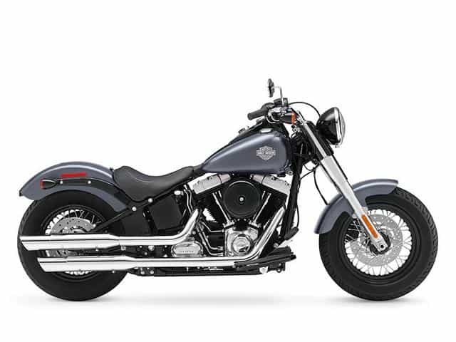 2015 Harley-Davidson FLS - Softail Slim Touring Falconer NY