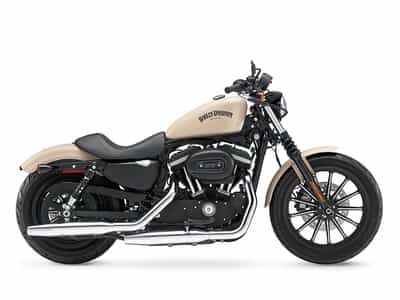 2015 Harley-Davidson XL883N - Sportster Iron 883 Standard Jacksonville FL
