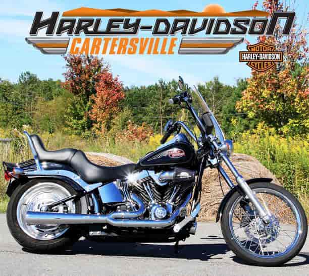 2008 Harley-Davidson FXSTC Sportbike Cartersville GA