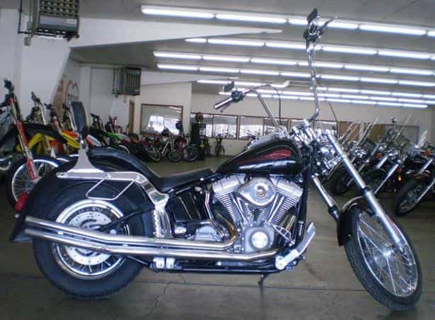2004 Harley-Davidson FXST/FXSTI Softail Standard Cruiser Loveland CO