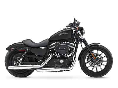 2015 Harley-Davidson XL883N - Sportster Iron 883 Standard Chandler AZ