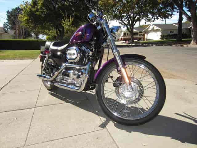2000 Harley-Davidson Sportster 1200 CUSTOM Cruiser san jose CA