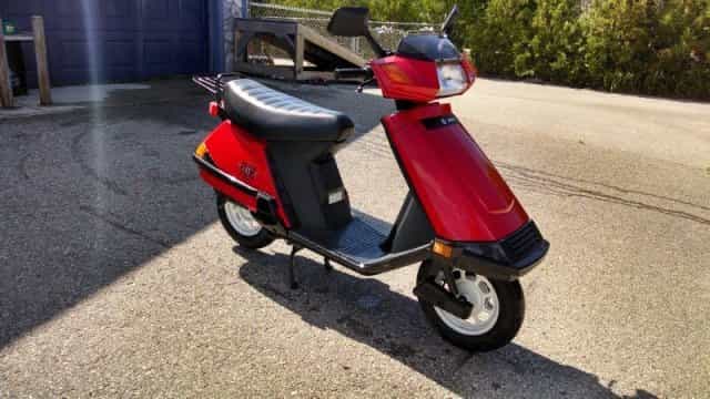 2002 Honda Elite 80 Moped Petoskey MI