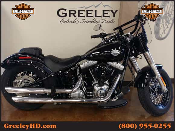 2014 Harley-Davidson FLS - Softail Slim Cruiser Greeley CO